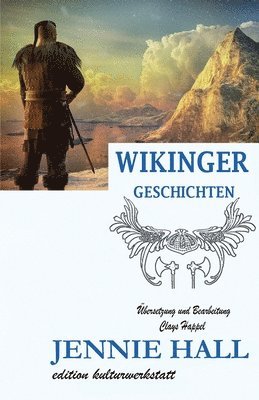 bokomslag Wikinger Geschichten