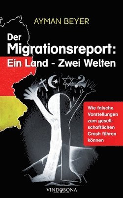 bokomslag Der Migrationsreport