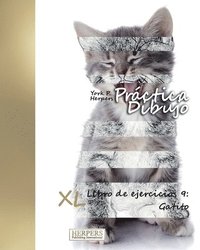 bokomslag Práctica Dibujo - XL Libro de ejercicios 9