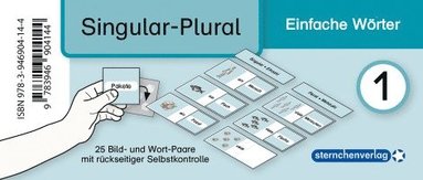 bokomslag Meine Grammatikdose 1 - Singular-Plural - Einfache Wörter