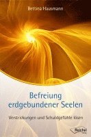 bokomslag Befreiung erdgebundener Seelen