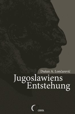 bokomslag Jugoslawiens Entstehung