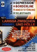 bokomslag DEPRESSION - BORDERLINE - ANGSTSTÖRUNG - SELBSTHASS Teil 1: Larissa zwischen Himmel und Hölle-Tagebuch der Selbstzerstörung