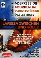 DEPRESSION - BORDERLINE - ANGSTSTÖRUNG - SELBSTHASS Teil 1: Larissa zwischen Himmel und Hölle-Tagebuch der Selbstzerstörung 1