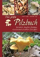 bokomslag Das große Pilzbuch