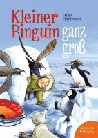 bokomslag Kleiner Pinguin ganz groß