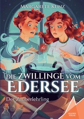 bokomslag Zwillinge vom Edersee