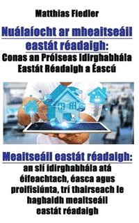 bokomslag Nualaiocht ar mheaitseail eastat readaigh: Conas an Proiseas Idirghabhala Eastat Readaigh a Eascu: Meaitseail eastat readaigh: an sli idirghabhala ata