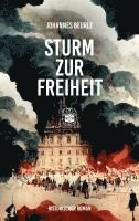 bokomslag Sturm zur Freiheit