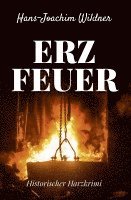 bokomslag Erzfeuer