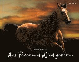 bokomslag Aus Feuer und Wind geboren