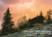 bokomslag Zwischen Holz und Stein