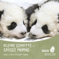 bokomslag Kleine Schritte - Große Pandas