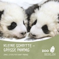 bokomslag Kleine Schritte - Große Pandas