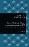 bokomslag Die Insel der großen Mutter oder Das Wunder von Île des Dames