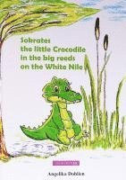 bokomslag Sokrates the little Crocodile in the big reeds on the White Nile