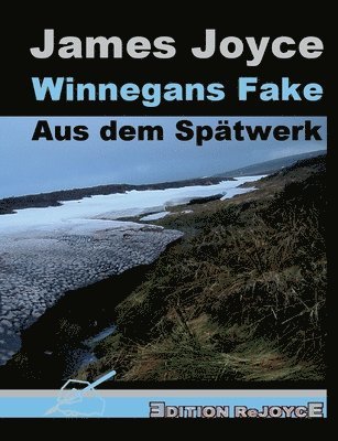 bokomslag Winnegans Fake