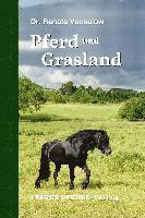 Pferd und Grasland