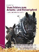 Erhard Schroll - Vom Fohlen zum Arbeits- und Freizeitpferd, Häftad