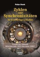 bokomslag Zyklen und Synchronizitäten in der Weltgeschichte