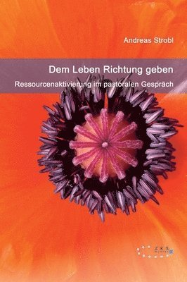 bokomslag Dem Leben Richtung geben - Ressourcenaktivierung im pastoralen Gespräch