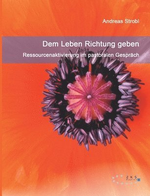 bokomslag Dem Leben Richtung geben - Ressourcenaktivierung im pastoralen Gespräch