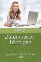 bokomslag Datenmassen bändigen