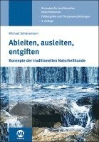 bokomslag Ableiten, ausleiten, entgiften