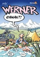 bokomslag Werner Band 4