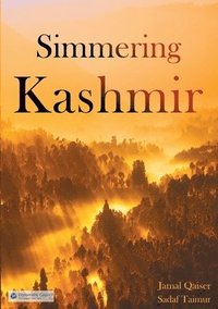 bokomslag Simmering Kashmir