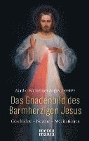 Das Gnadenbild des Barmherzigen Jesus 1