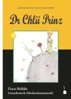 bokomslag Dr Chlii Prinz