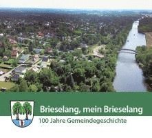 bokomslag Brieselang, mein Brieselang