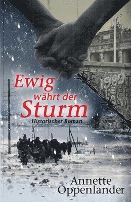 bokomslag Ewig währt der Sturm