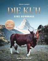 Die Kuh 1