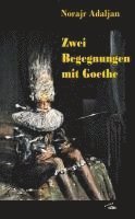 bokomslag Zwei Begegnungen mit Goethe