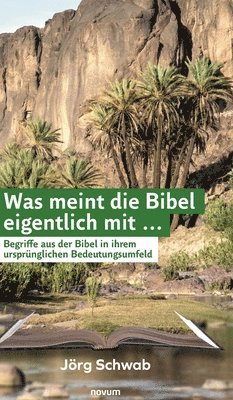 Jörg Schwab - Was meint die Bibel eigentlich mit ..., Inbunden