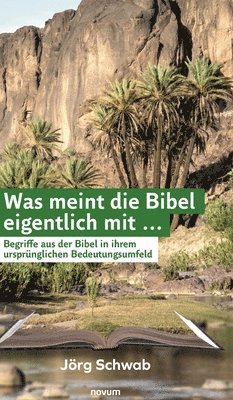 bokomslag Was meint die Bibel eigentlich mit ...