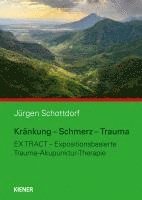bokomslag Kränkung - Schmerz - Trauma