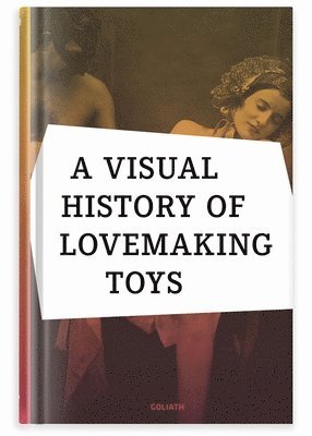 Richard Battenberg - Visual History of Lovemaking Toys, Inbunden