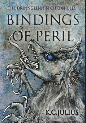 bokomslag Bindings of Peril