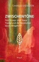 Charles Eisenstein - Zwischentöne, Häftad