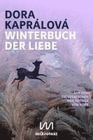 bokomslag Winterbuch der Liebe