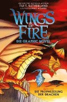 bokomslag Wings of Fire Graphic Novel #1