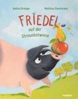 bokomslag Friedel