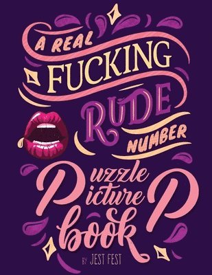 A Real Fucking Rude Number Puzzle Picture Book 1