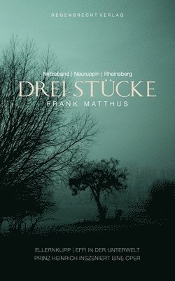 bokomslag Drei Stücke