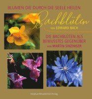 Bachblüten 1