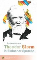 bokomslag Erzählungen von Theodor Storm