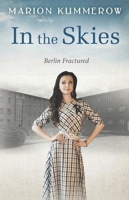 bokomslag In the Skies